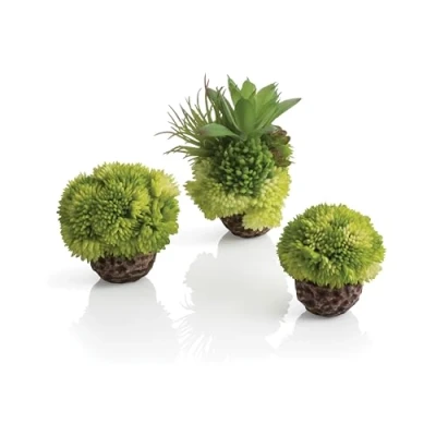 Afbeelding van OASE biOrb 72683 koraalbalset, groen, afzinkende kunstkoralen in bolvorm, als plantendecoratie voor zoutwateraquaria en zoetwateraquarium
