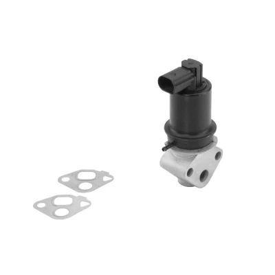 Afbeelding van Wahler EGR klep 710778D0