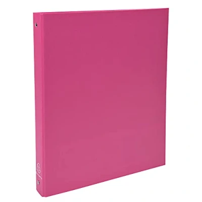 Afbeelding van Exacompta ref. 51365E karton met 20 stevige PP mappen 4 ronde ringen diameter 30 mm rug 40 buitenafmetingen: 32 x 26 cm DIN A4 Kleur: roze
