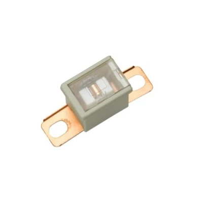 Afbeelding van HELLA VALUEFIT Zekering PAL blokzekering serie1 120A Wit Aantal: 1 8JS 740 026 571