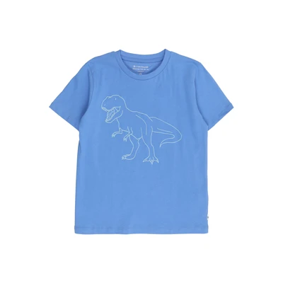 Afbeelding van Tom Tailor T shirt met in het donker oplichtende print