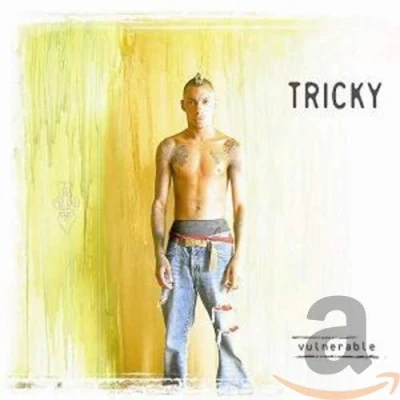 Afbeelding van Tricky Vulnerable (CD)