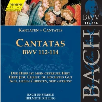 Afbeelding van Bach Ensemble, Helmuth Rilling J.S. Bach: Cantatas Bwv 112 114 (CD)