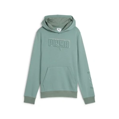 Afbeelding van Puma, Jongens, Springer, ESS LOGO LAB Uitvoering Hoodie TR B, Groen, (164)
