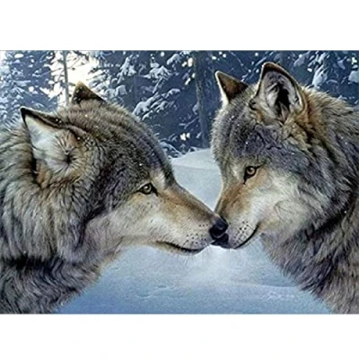 Afbeelding van 5D Diamond Painting Kit Two Wolves DIY Rhinestone Embroidery Cross Stitch Arts Craft for Home Wall Decor 40x30cm