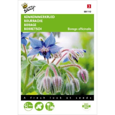 Afbeelding van Borage, Komkommerkruid