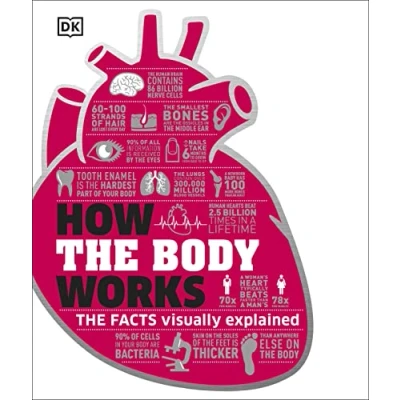 Afbeelding van How The Body Works: Facts Simply Explained