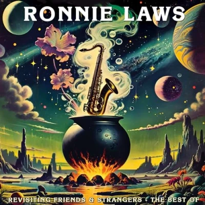 Afbeelding van Ronnie Laws Revisiting Friends &amp; Strangers: The Best Of (CD)