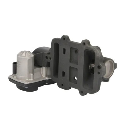 Afbeelding van NRF EGR klep 48676