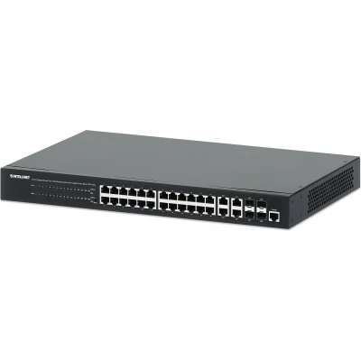 Afbeelding van Intellinet 561426, Unmanaged