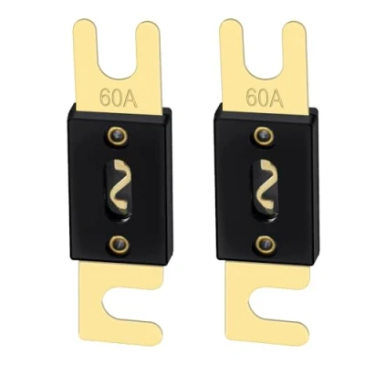 Afbeelding van Heschen ANL Fuse 60 Amp voor Auto Voertuigen Audio Systeem Blad Gold Tone &amp; Zwart 2 Pack