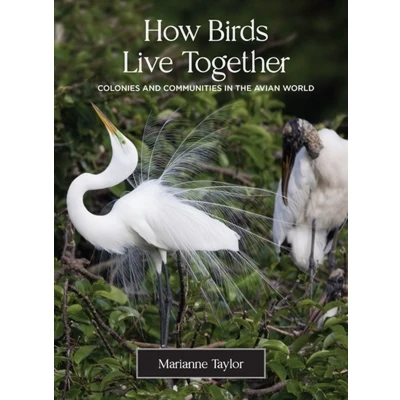 Afbeelding van How Birds Live Together: Colonies and Communities in the Avian World