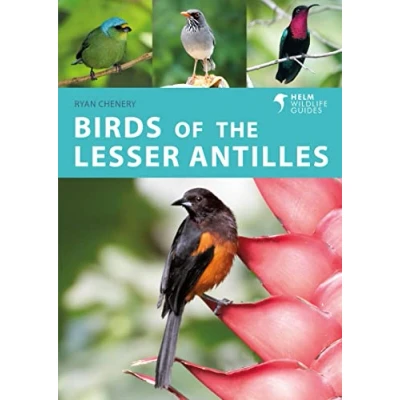 Afbeelding van Birds of the Lesser Antilles: A Photographic Guide