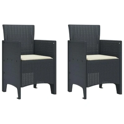 Afbeelding van vidaXL Tuinstoel Set van 2 Anthraciet, Crème wit Plastic Rattan