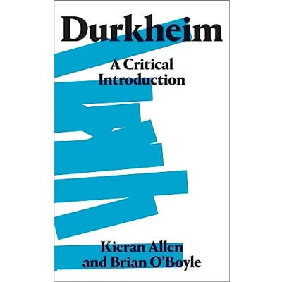 Afbeelding van Durkheim: A Critical Introduction