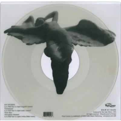 Afbeelding van Joy Division Love Will Tear Us Apart (LP) (Coloured Vinyl)