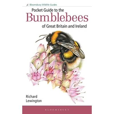 Afbeelding van Pocket Guide to the Bumblebees of Great Britain and Ireland