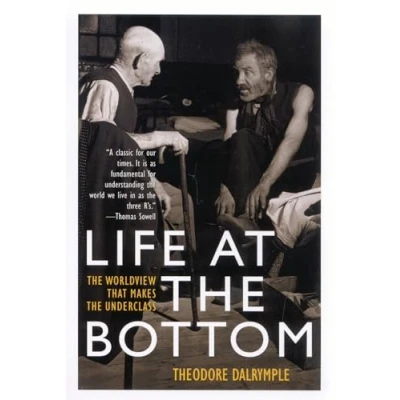 Afbeelding van Life at the Bottom: Worldview That Makes Underclass