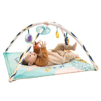 Afbeelding van Infantino Underwater Wonders 3 in 1 Activity Speelkleed BK 313066