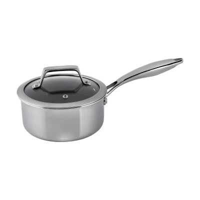 Afbeelding van Hâws Santo hybride coating pan met deksel 1,5 L Roestvrij staal