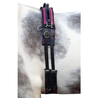 Afbeelding van HKM Longeersingel Canvas met Dubbele Handgreep Navy/Pink Cob