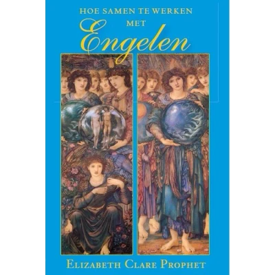 Afbeelding van Hoe samen te werken met engelen (Paperback)