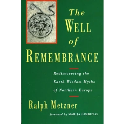 Afbeelding van the Well of Remembrance: Rediscovering Earth Wisdom Myths Northern Europe