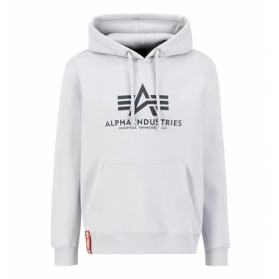 Afbeelding van Alpha Industries Basic Hoody Regenboog Ref. Print Hooded Sweat voor Mannen Pastel Grey