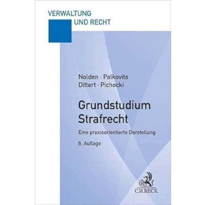 Afbeelding van Grundstudium Strafrecht: Eine praxisorientierte Darstellung