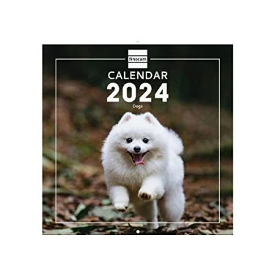 Afbeelding van Finocam Kalender met afbeeldingen wandformaat 2024 januari december (12 maanden) Dogs internationaal
