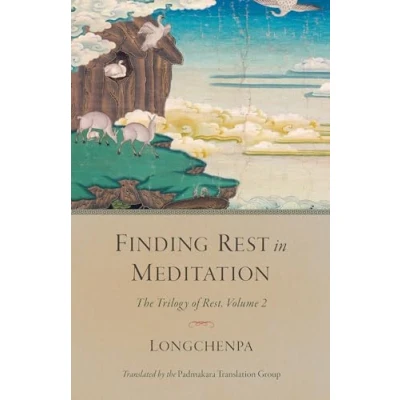 Afbeelding van Finding Rest in Meditation: The Trilogy of Rest, Volume 2