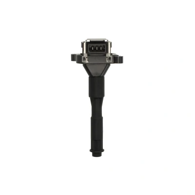 Afbeelding van Delphi Diesel Bobine GN10016 12B1