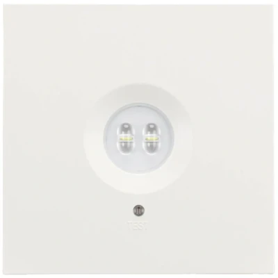 Afbeelding van H1 Solutions 1045 Veiligheidsverlichting Plafondopbouwmontage