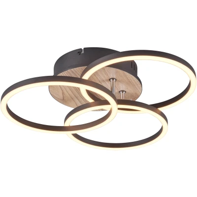 Afbeelding van Trio Plafondlamp Circle Ø 43,5cm R62823135