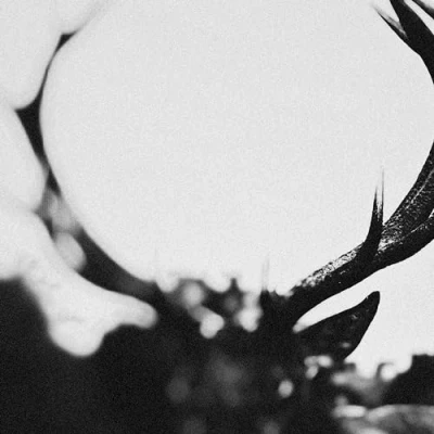 Afbeelding van Ihsahn (2 LP) (Coloured Vinyl)