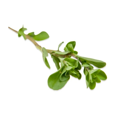 Afbeelding van Volatile Marjolein zoet CO2 SE 2.5 ml