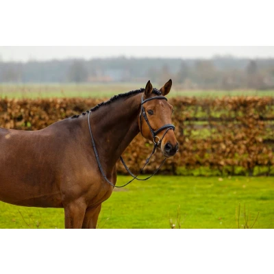 Afbeelding van Trust Hoofdstel Amsterdam Bruin/Zilver Full