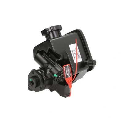 Afbeelding van Lauber Servopomp 55.1030