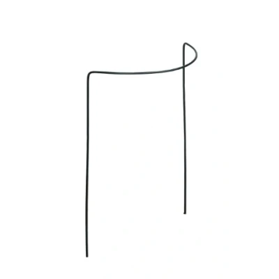Afbeelding van Plantensteun Halfrond 60 x 30 18 cm Metaal Per Stuk