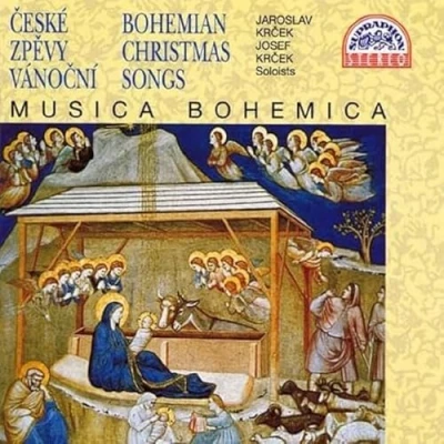 Afbeelding van Various Artists Bohemian Christmas Songs (CD)