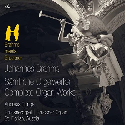 Afbeelding van Brahms: Complete Organ Works