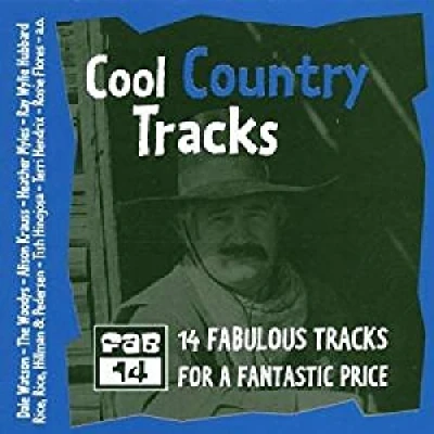 Afbeelding van Various Artists Cool Country Tracks (CD)