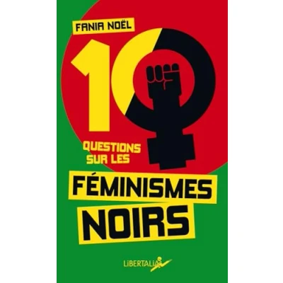 Afbeelding van Dix questions sur les féminismes noirs