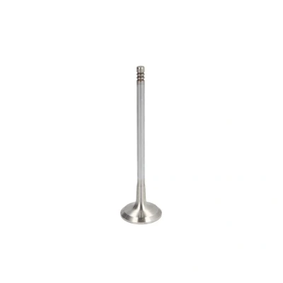 Afbeelding van Uitlaatklep FRECCIA R6412/BMCR