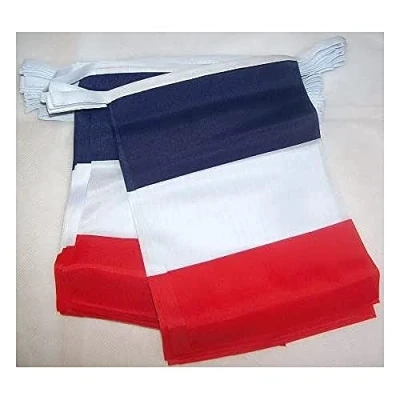 Afbeelding van Frankrijk 4 meter BUNTING Vlag 20 vlaggen 6&#039;&#039; x 4&#039;&#039; Franse STRING 10 15 cm AZ FLAG