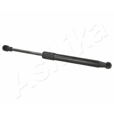 Afbeelding van ASHIKA ZSA01025 Gasveer achterklep 640N 290mm BMW: X5 (E53) 3.0 i, 4.8 is, 4.4 d, 4.6 is 2000 2006