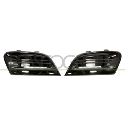 Afbeelding van Radiateurgrille PRASCO RN2012140