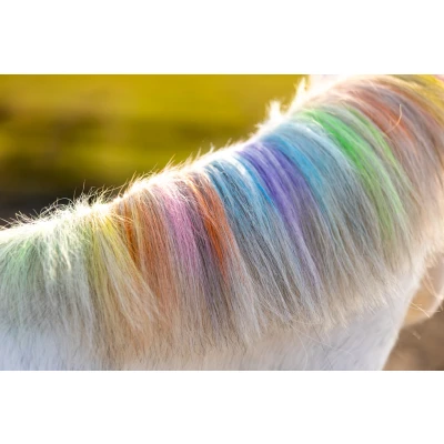 Afbeelding van Lucky Horse Unicorn regenboog kleurkrijt One Size Multi