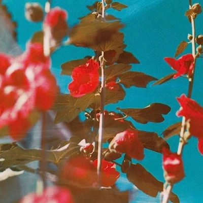 Afbeelding van Chad Lawson Breathe (CD)