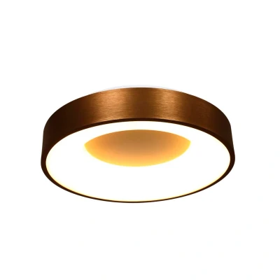 Afbeelding van Steinhauer plafonniere Ringlede brons 2562BR